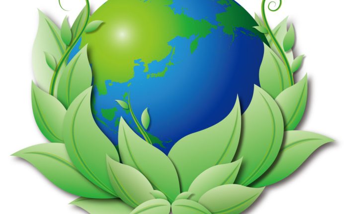 Eco-friendly window treatments