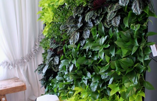 Bachman's Living Wall