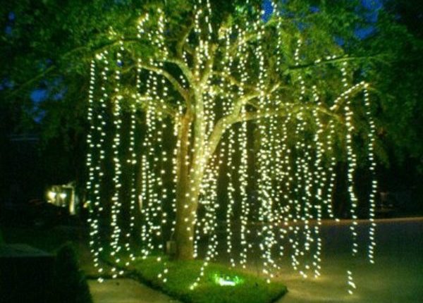 Christmas Lights exterior inspiration