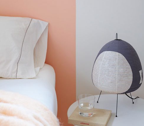 painted bookcase decor ideas DYI with left over paint