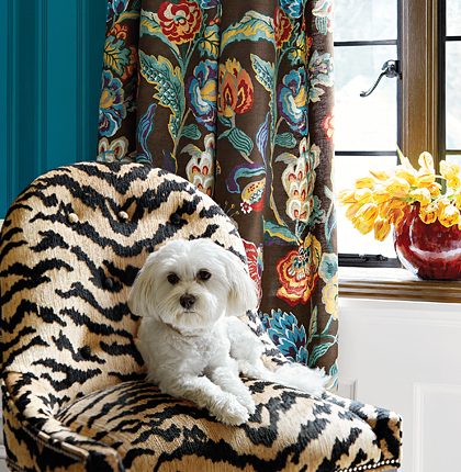 thibaut wallpaper with dog Organic Shapes and textures in 2 new thibaut books