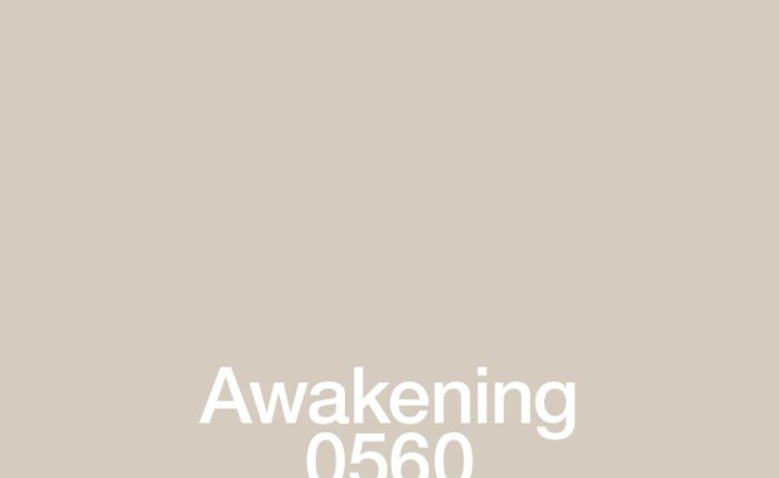 hirshfield's-paint-color-awakening