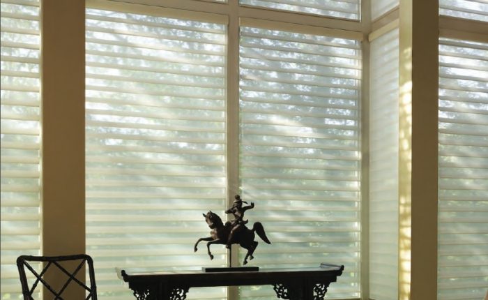 Window Treatment silhouette motor